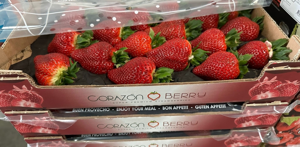 Fresas